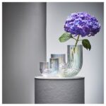 گلدان شیشه ای ایکیا RAFFELBJORK – ارتفاع 20 سانتیمتر- دیالکتیک شاپ (4)